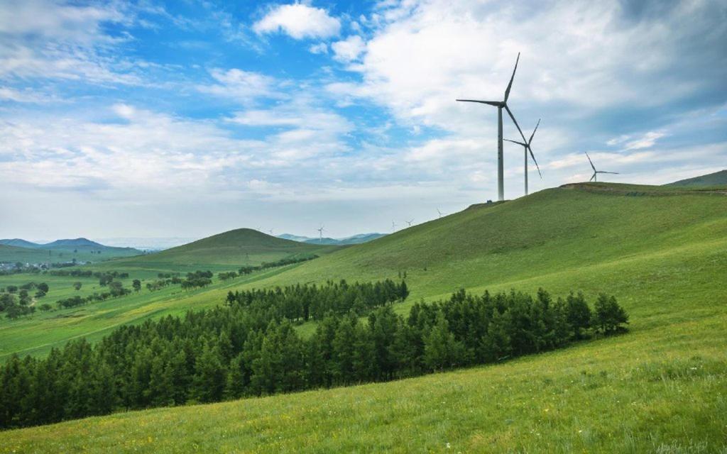 大自然优美风光小清新护眼写真