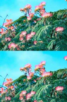 相遇小清新风景拼接图-2