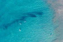 高清大海唯美风景