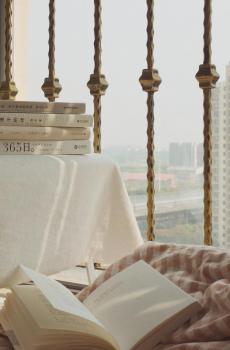 欧美流行ins风简约唯美静物摄影-1