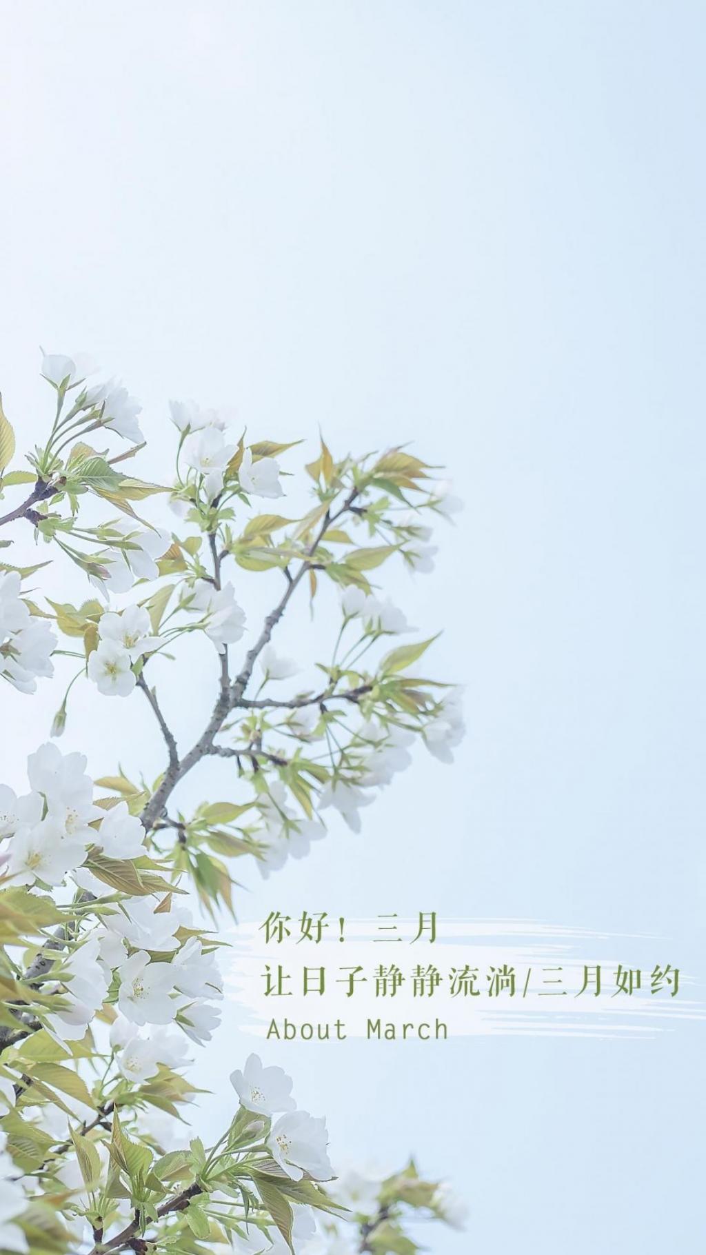 时光匆匆,三月如约