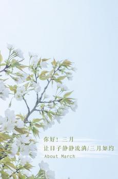 时光匆匆,三月如约-1