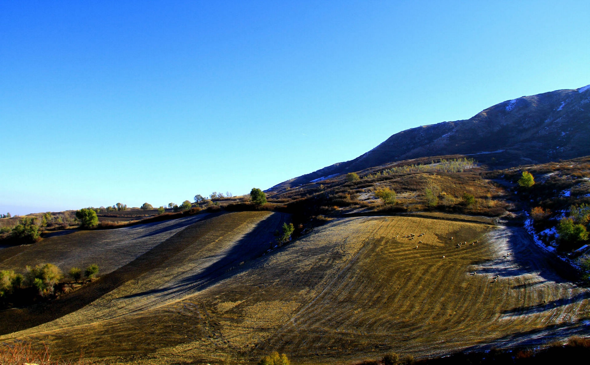 新疆昌吉奇台雪山风光