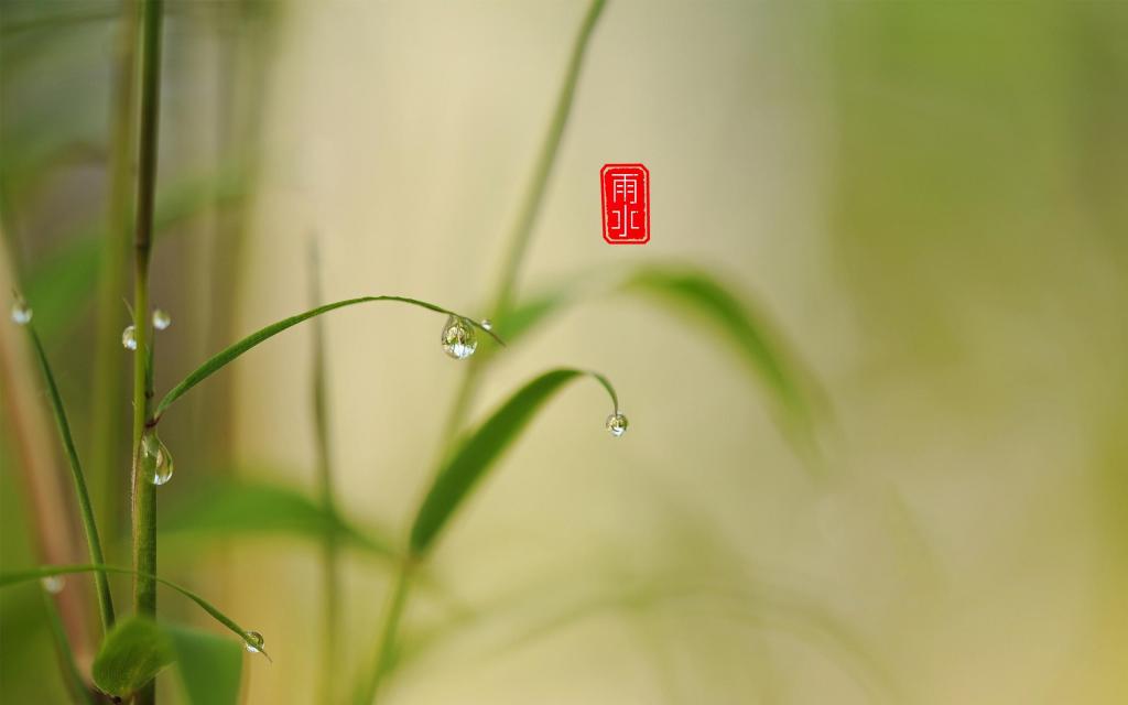 二十四节气雨水