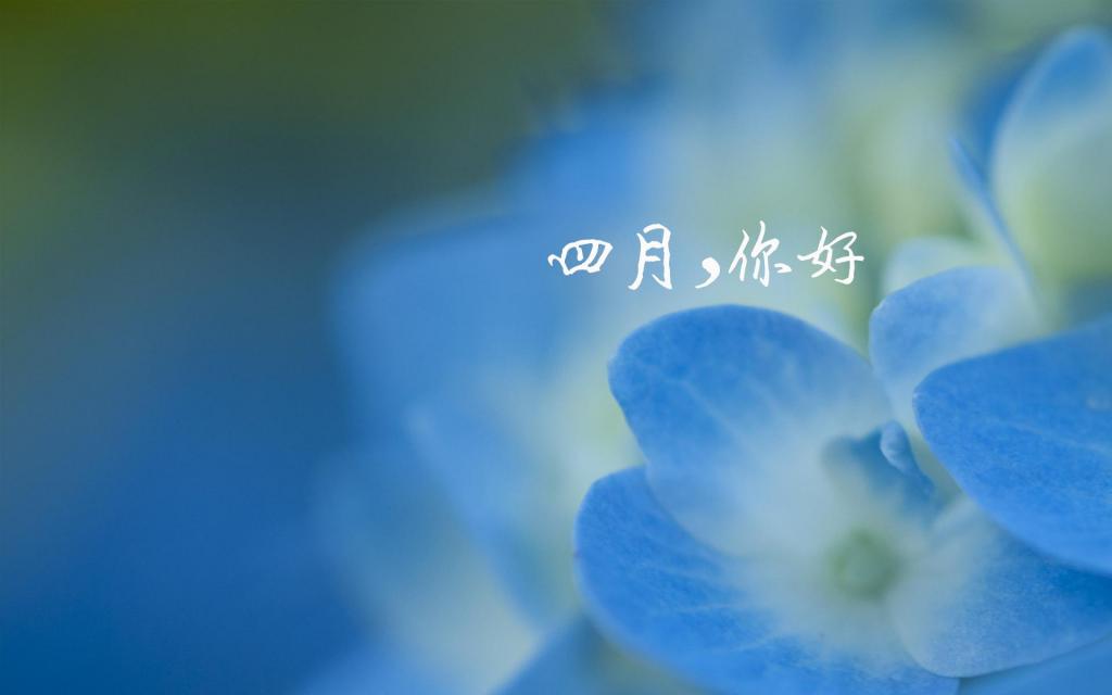 四月你好一句话说说配图