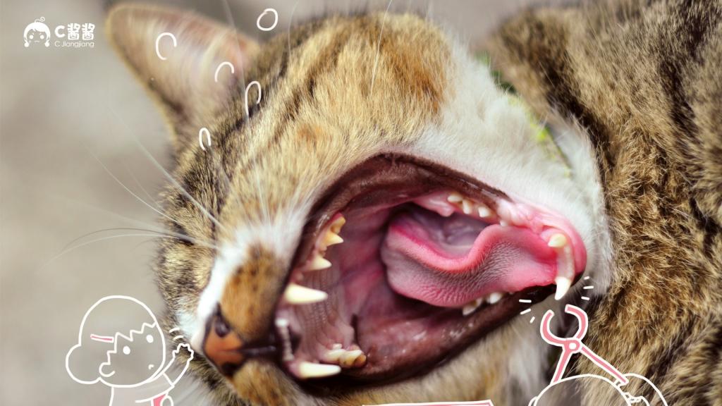恶搞喵星人(猫咪)