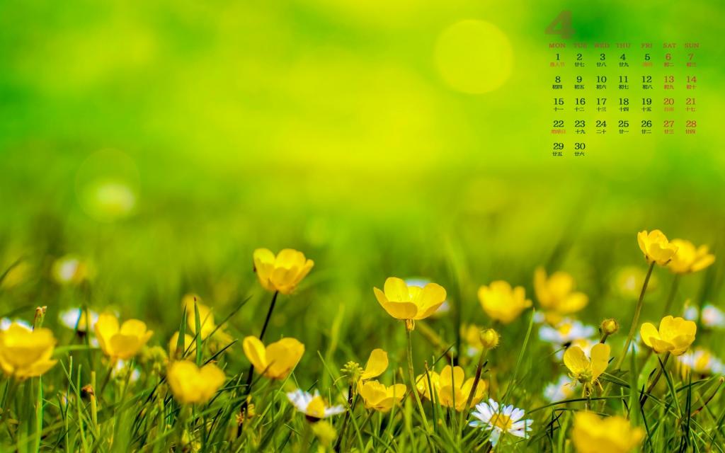 2019年4月人间的四月天日历