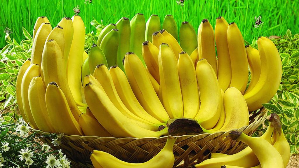 它有一件美丽的“外衣”