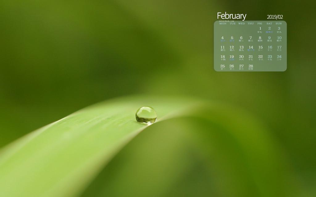 2019年2月小清新植物唯美写真日历