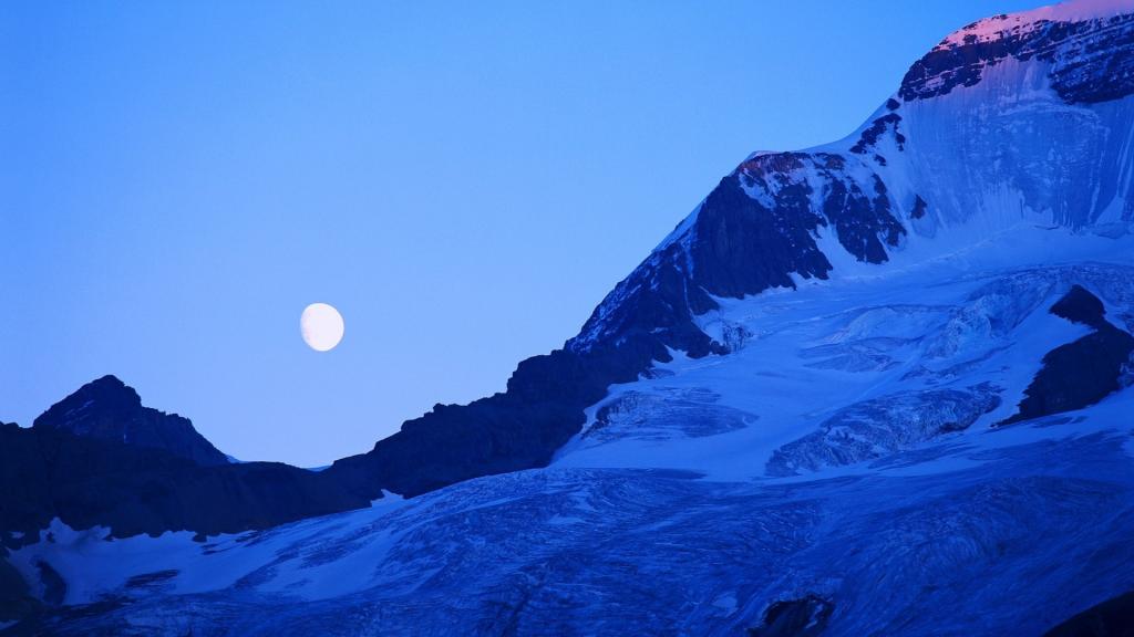 清新护眼的风景