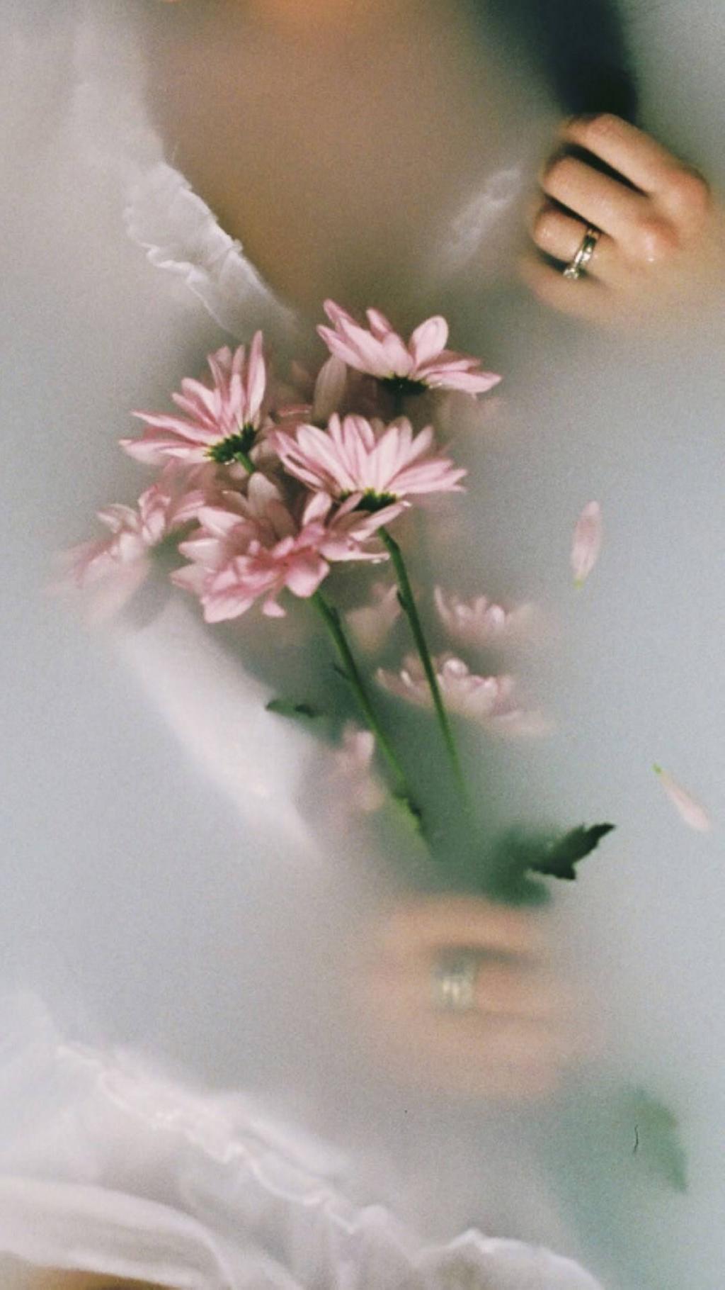 唯美小清新花朵