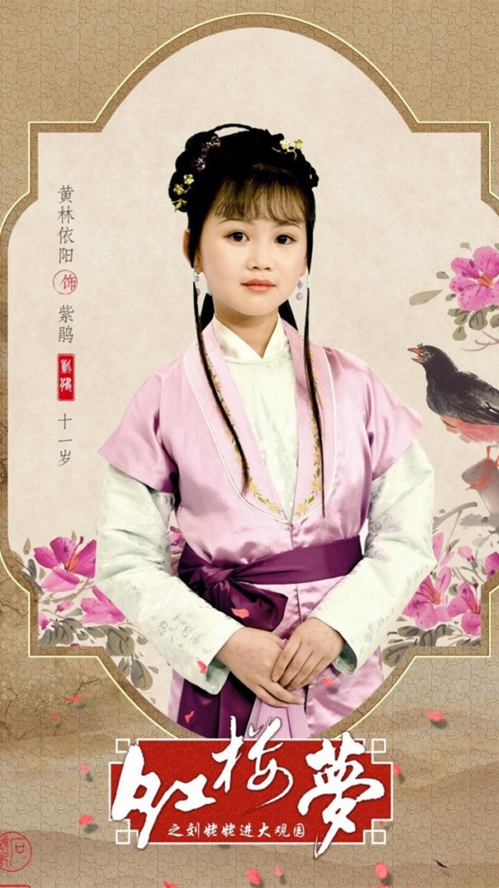 电视剧小戏骨红楼梦人物剧照