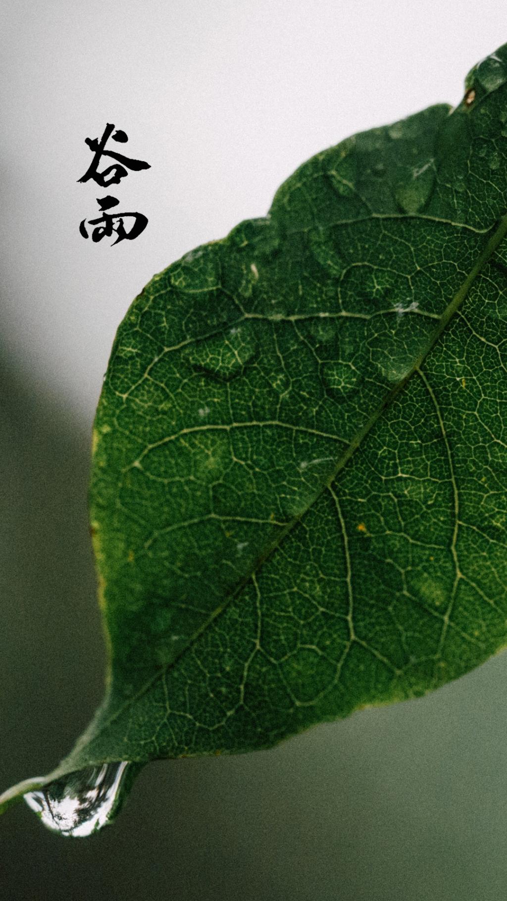 传统二十四节气谷雨