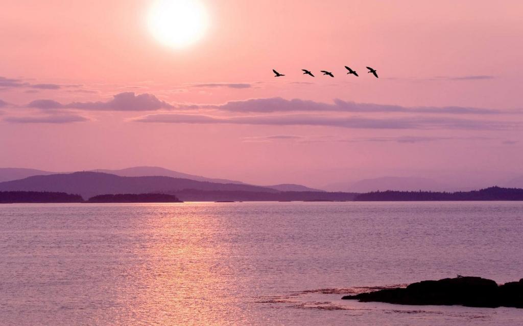 遇见城市的唯美的夜色风景