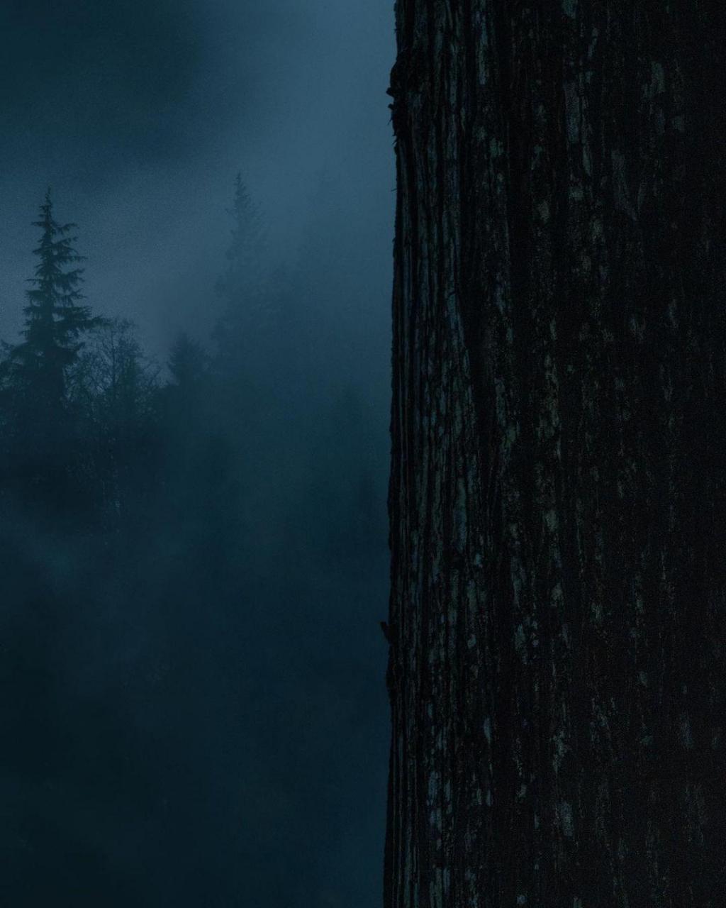 暗绿色氤氲湿气自然风光