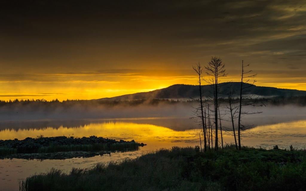 内蒙古阿尔山风景