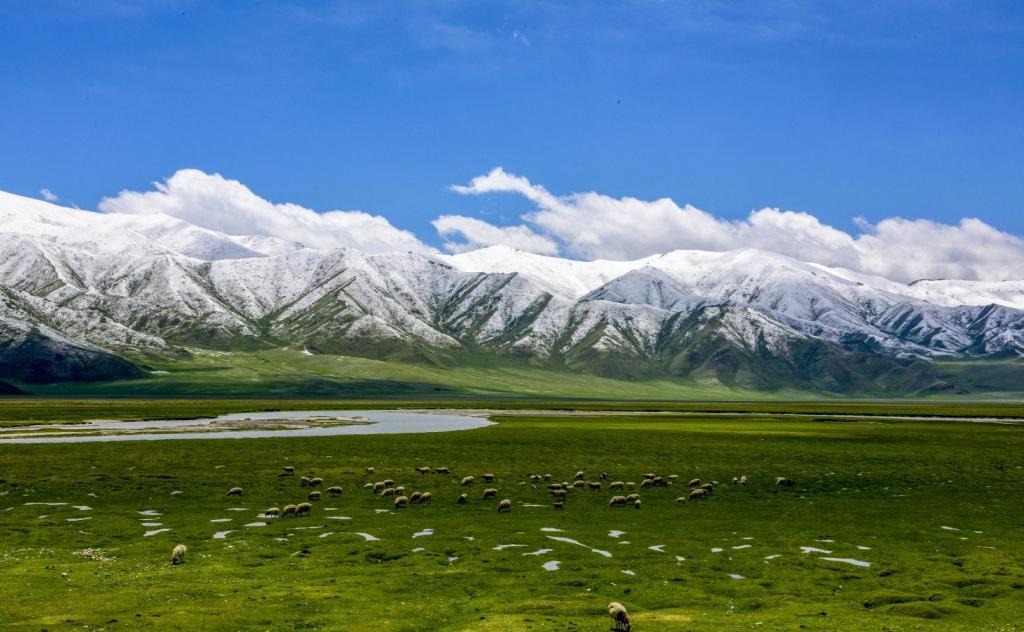 全景新疆大草原