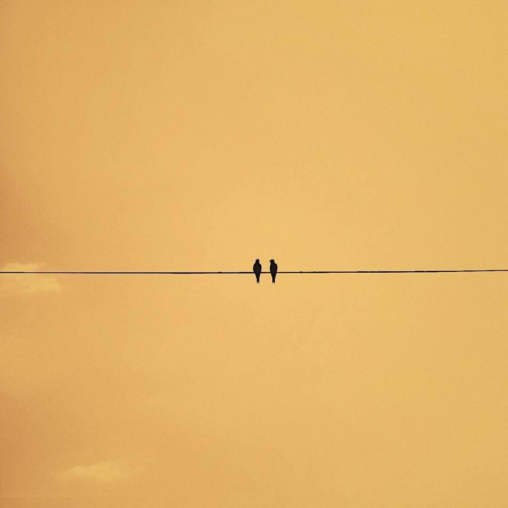 极简风创意艺术摄影