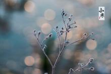 二十四节气小寒时节