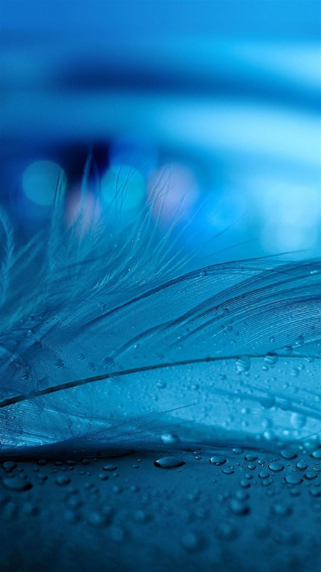 个性植物风景微距锁屏