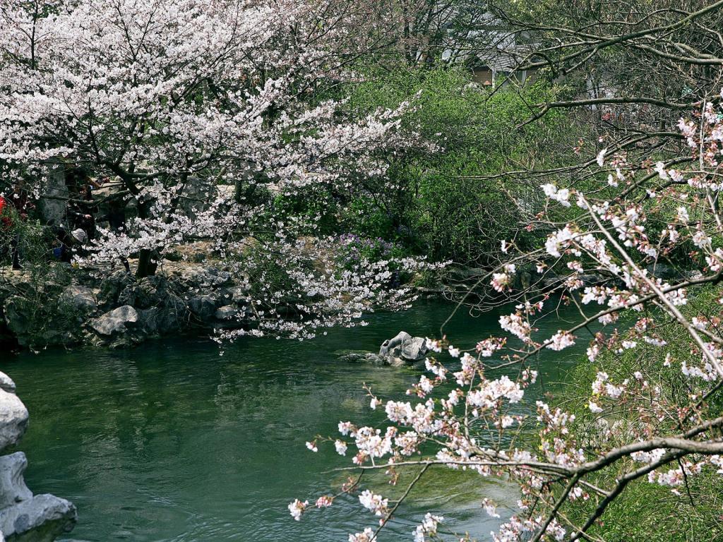 太子湾公园风光