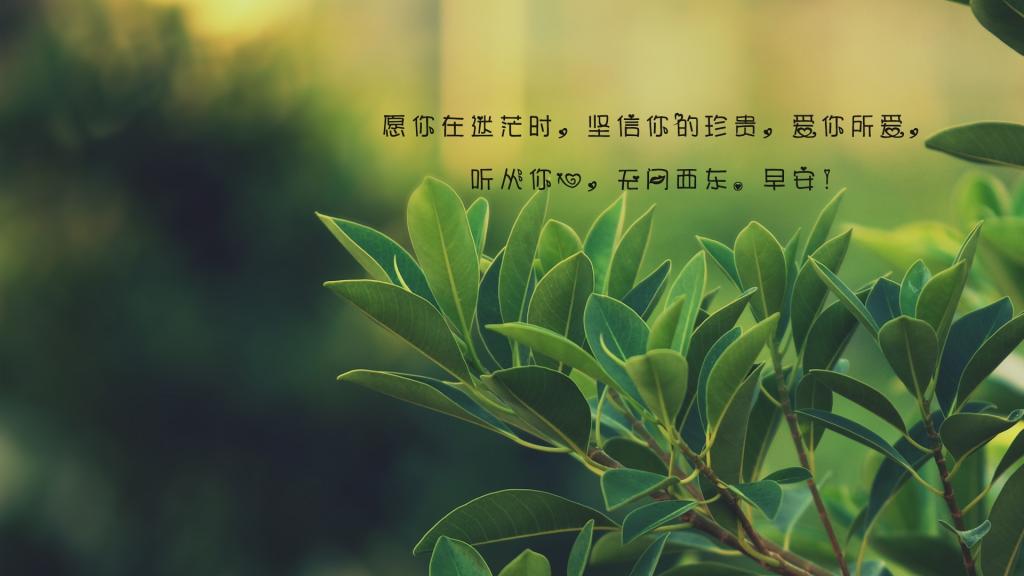 治愈系的早安心语集合