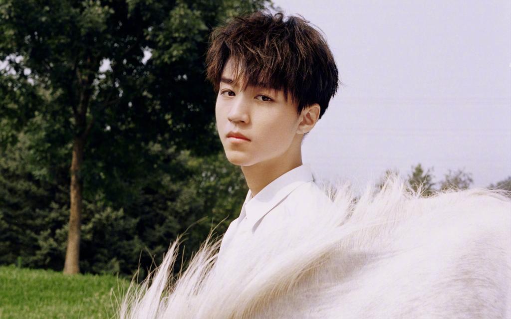 文艺帅气偶像王俊凯