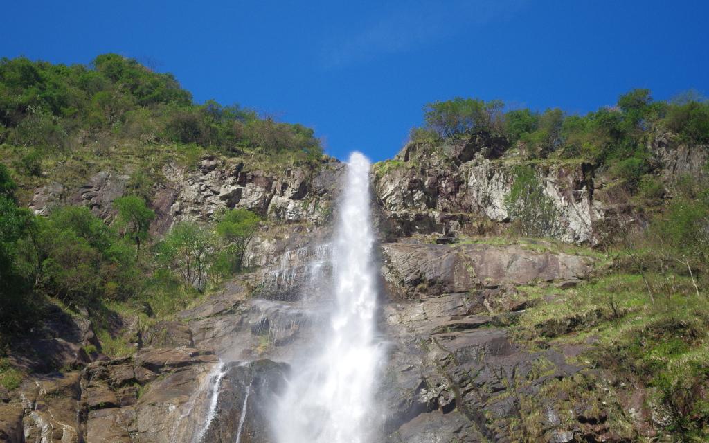大自然绿色风景写真