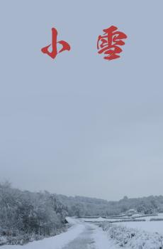 今日小雪天气寒-4
