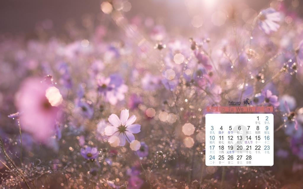 2019年2月小清新花朵唯美写真日历