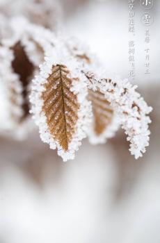 唯美古风二十四节气之小雪-2