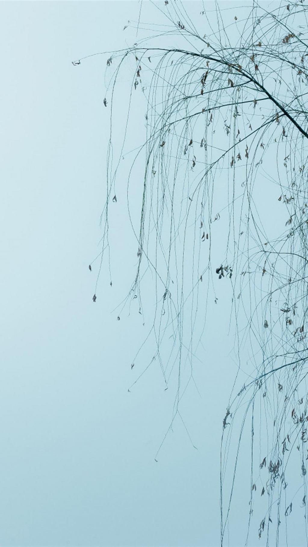 三月天西湖美景