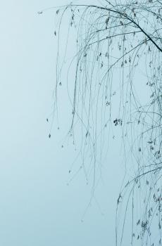 三月天西湖美景-2