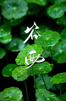 传统节气谷雨-5