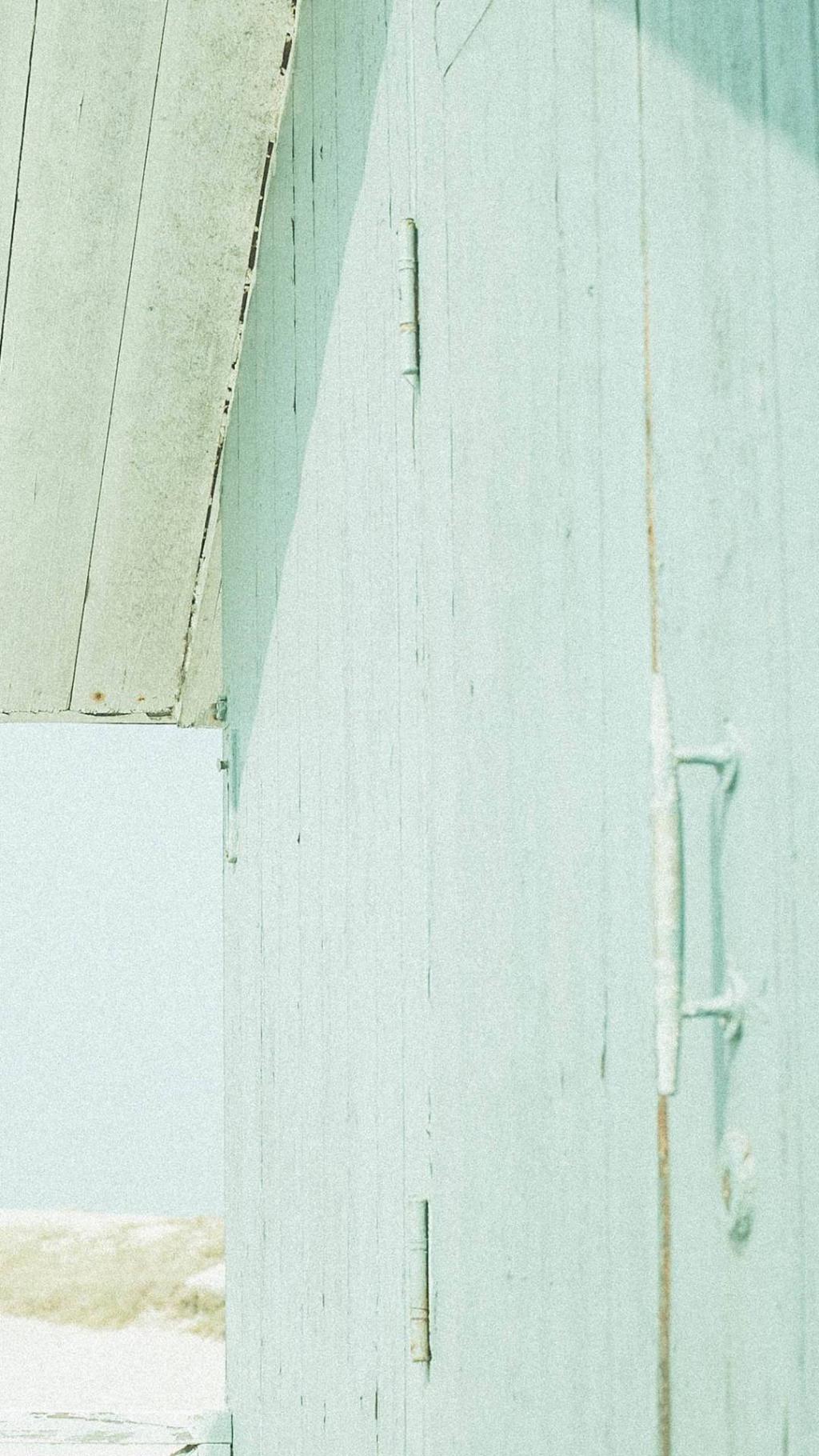 小清新静物摄影