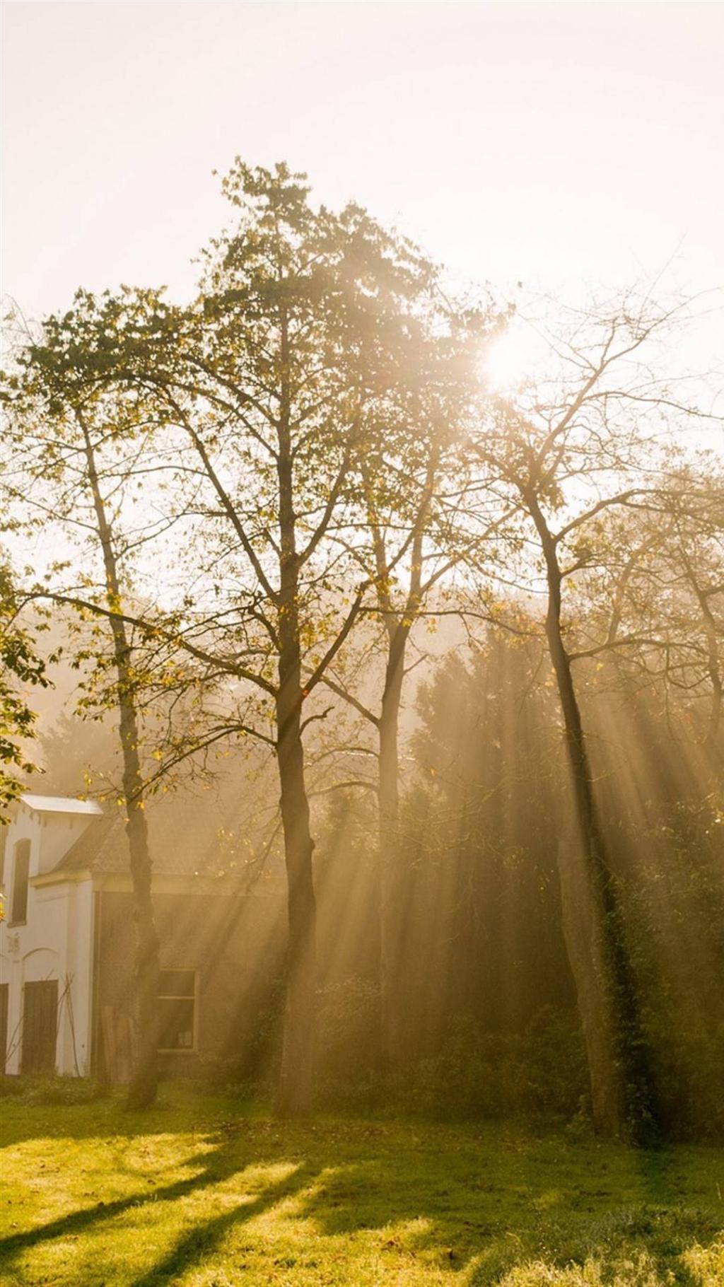 欧美乡村清晨风情