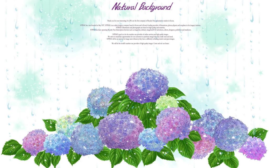 浪漫简约花朵信纸