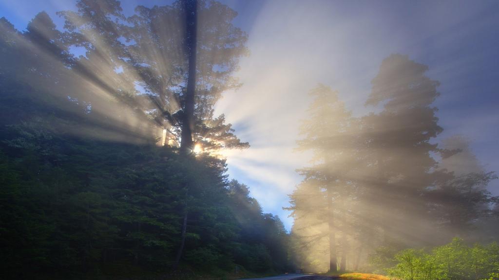 最新的夺目风光