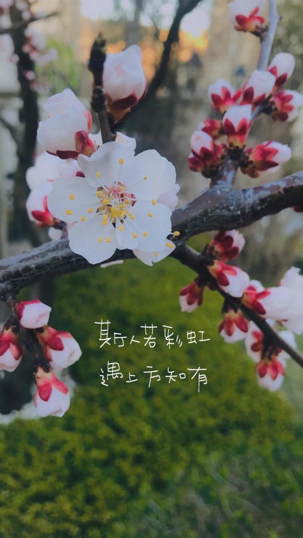 极简唯美心灵鸡汤说说语录