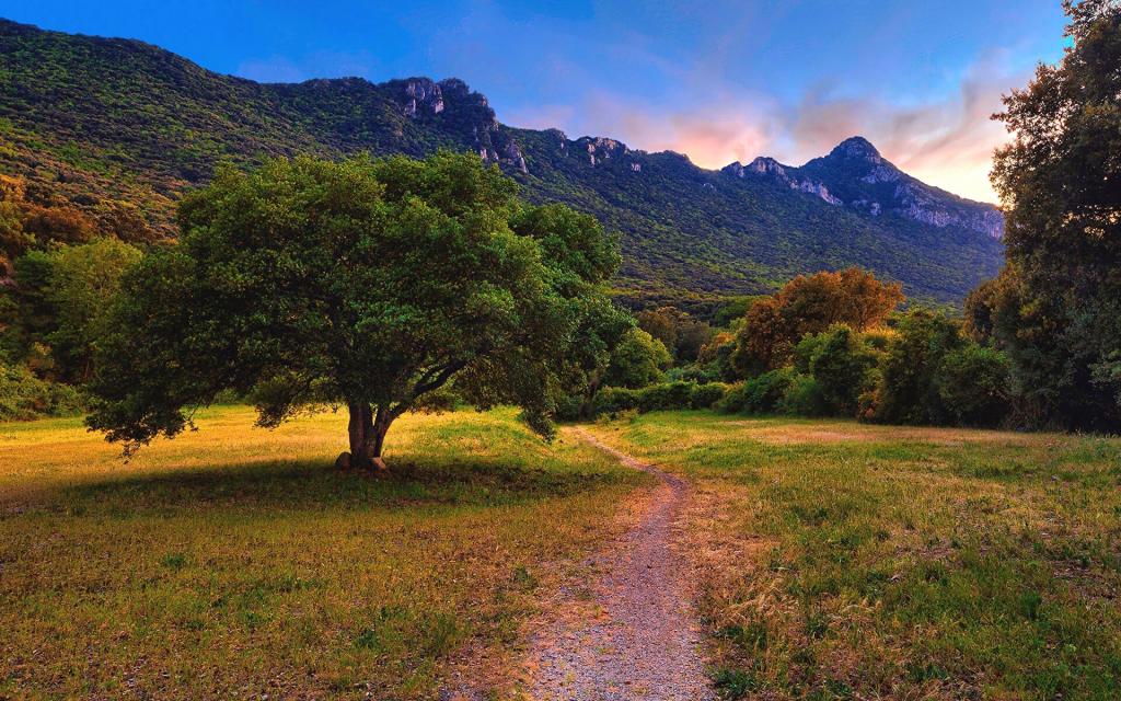 旅行中遇见最美的风景