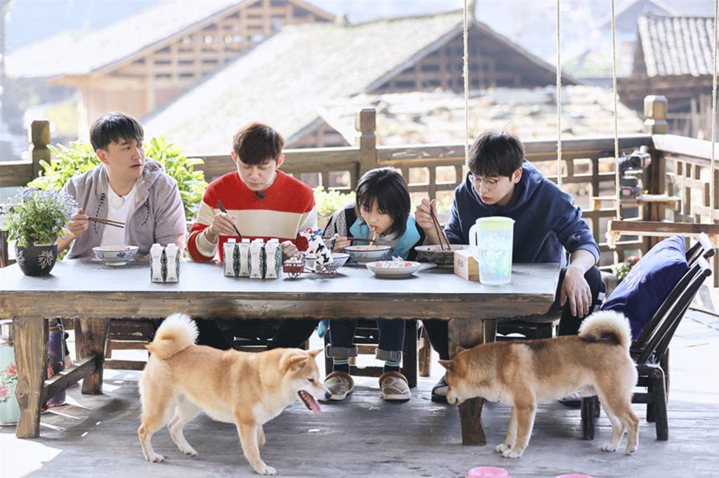 综艺《向往的生活3》