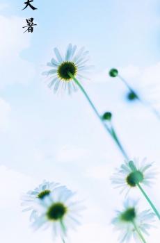 24节气大暑