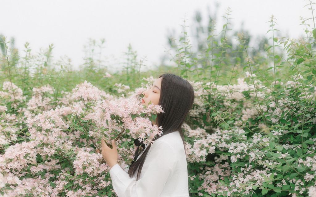 美人如花隔云端