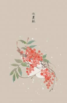 古风唯美手绘花卉-4