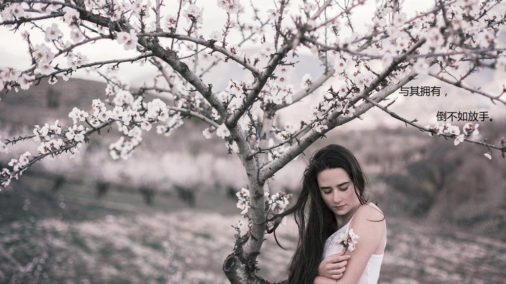 有一种爱叫做放手