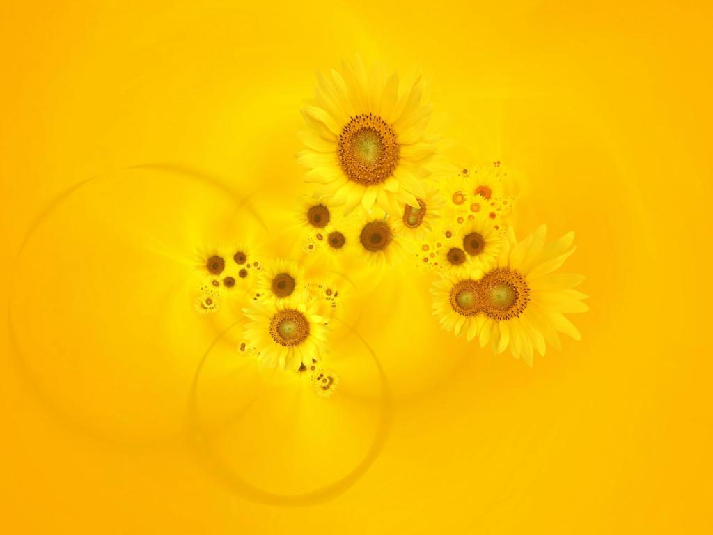 浪漫的合成花卉