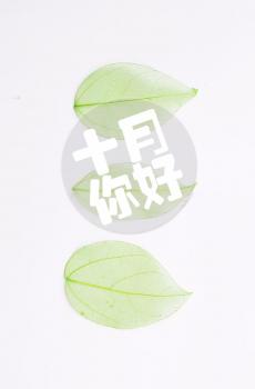 十月你好小清新问候-0