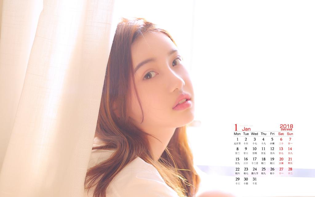 2018年1月文艺美女写真日历