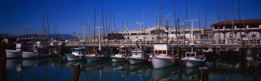 高清双屏自然风景