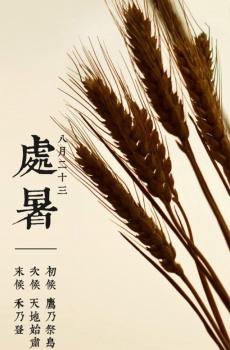 清新带字二十四节气-13